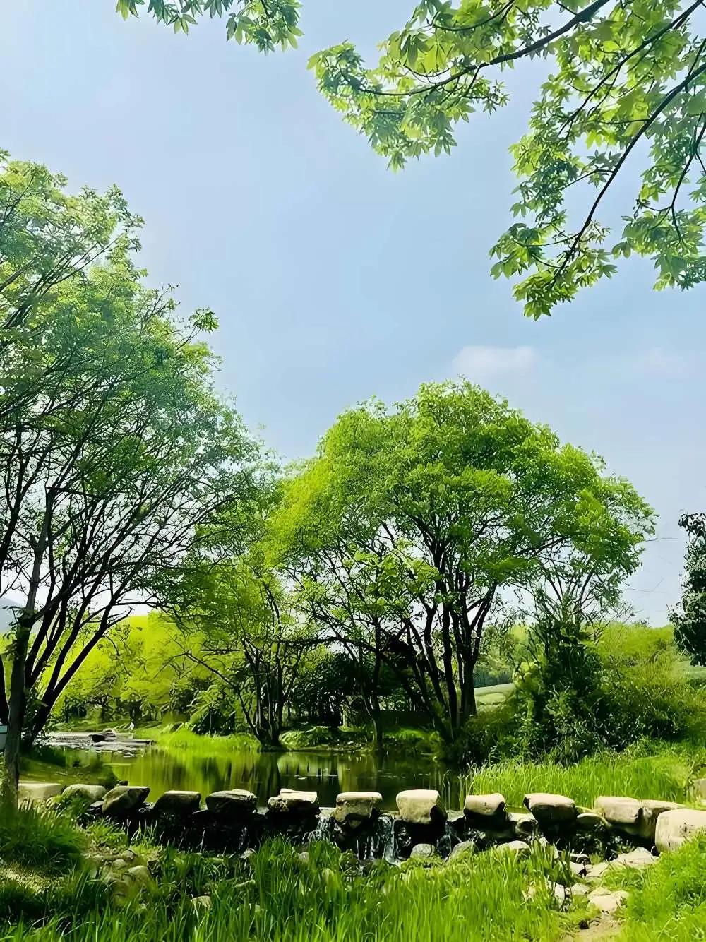 三月暮春，春意正浓。避开西湖畔喧闹的人群，沿着杨公堤朝西北方向悠然漫步。穿过一片