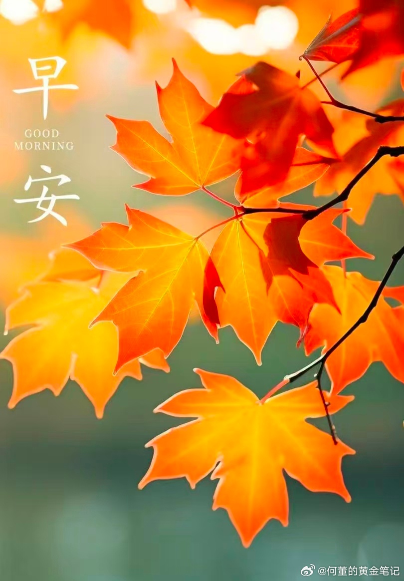 一日之始，愿温柔与好运同在。早上好！黄金金价 ​​​