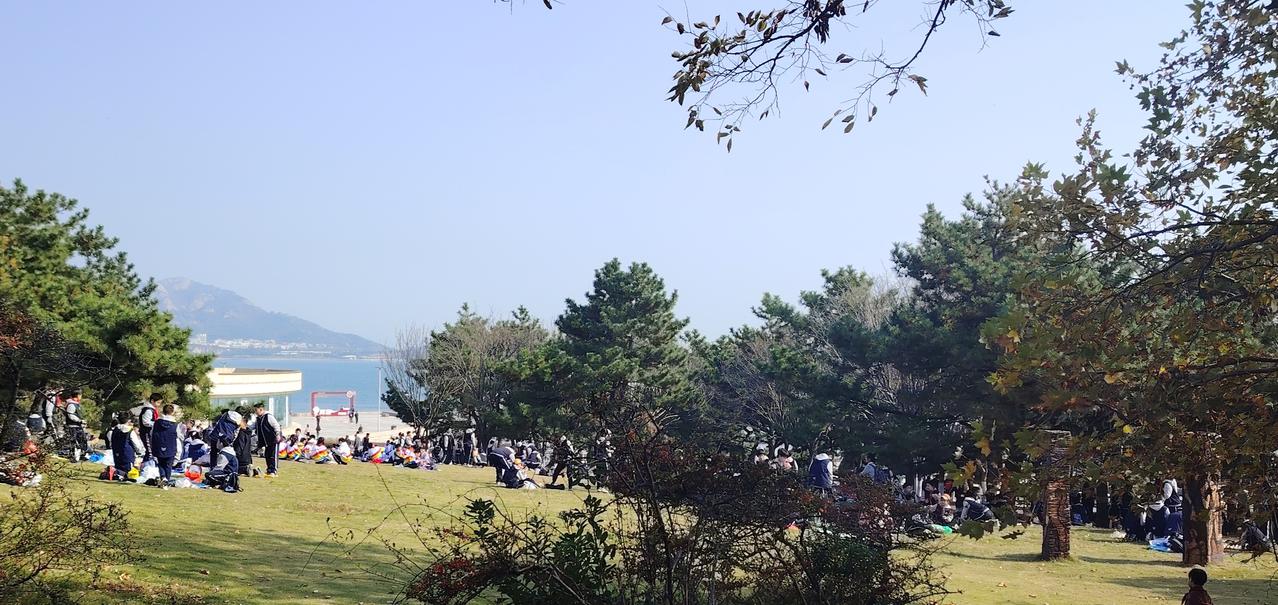 青岛本周末，风和日丽，天气晴间多云，南风柔和，趁着天暖，赶紧出来游玩吧。从本周日