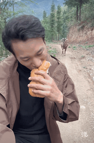 看这个多了就要吃素了，羊肉也不好意思吃了哈!啥时候羊不吃中餐改吃西餐了？[捂脸]