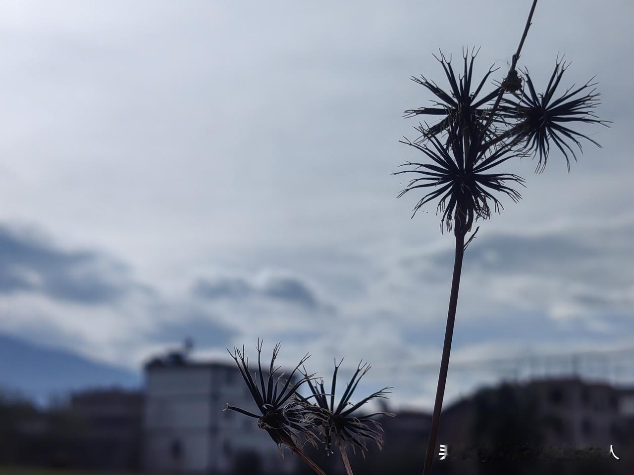 我一个朋友，和我讲了一个他的故事。

一年前，他突然看到了当年的初恋女友送的礼物