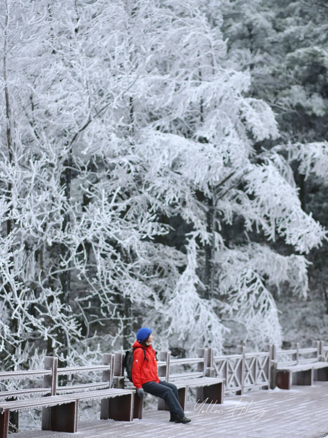宁波爬山徒步｜又是一年四明山赏雪 徒步路线