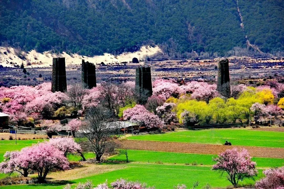 #可以分享一张田园风光的照片吗#看到这张风光照片，你会想到是哪里？林芝工布江达去