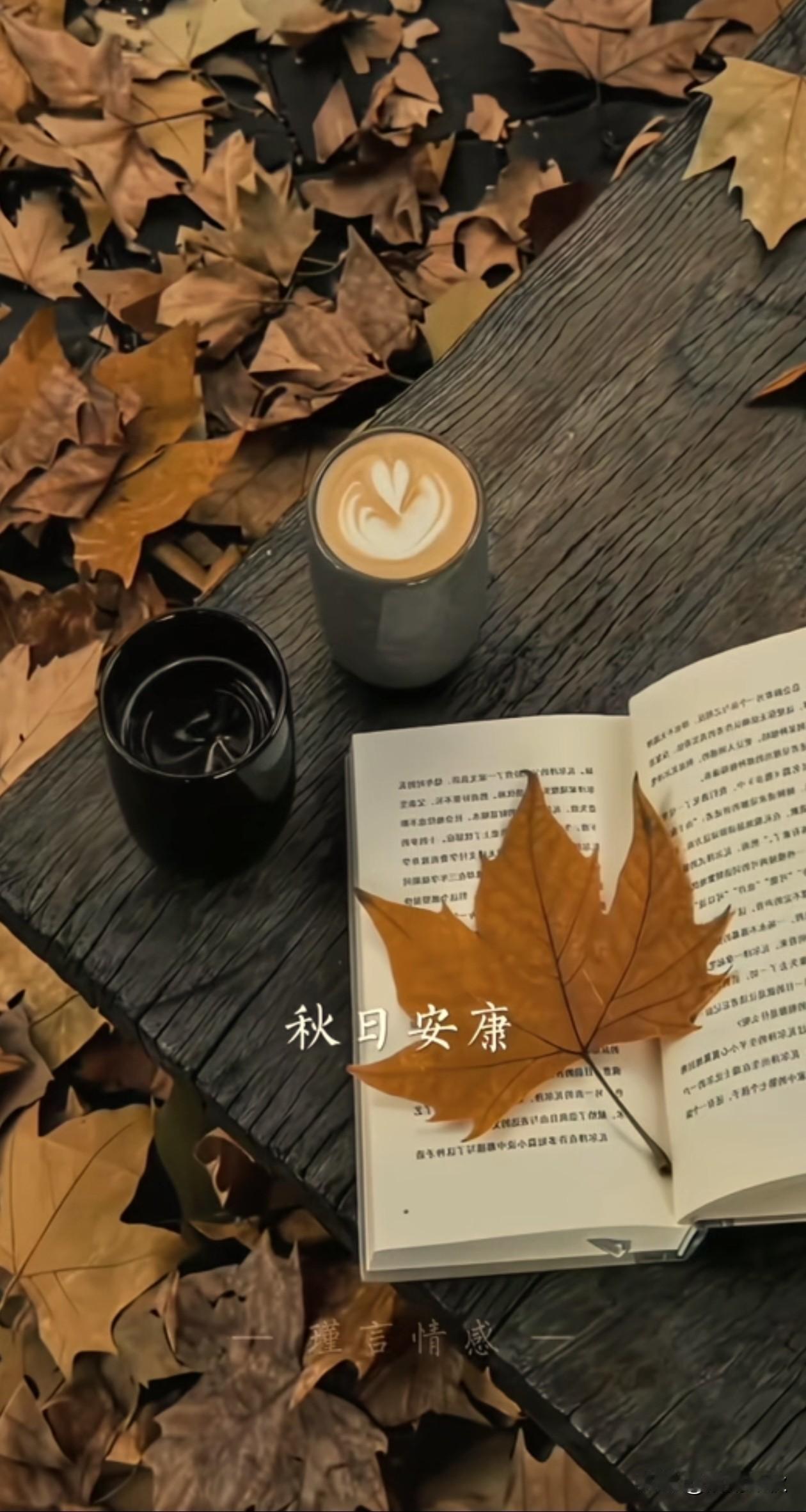 🥤🌷|🅖☻☻🅓 ’͜‘𓐃 

今日立秋，
嘉穗垂颐，天地始肃，
新凉涤