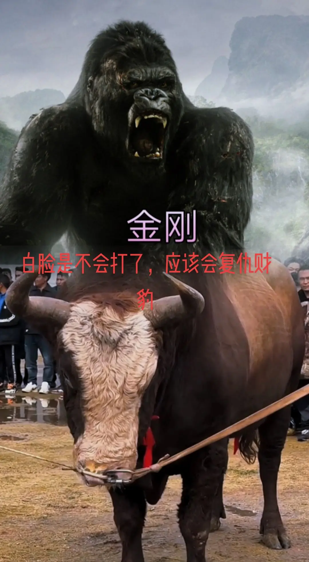 戒垃圾食品后身体的变化