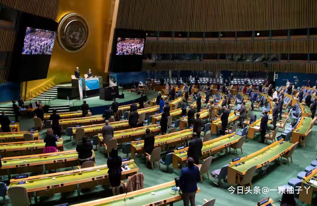 联合国大会近期就跨大西洋奴隶制相关决议进行投票，结果可以说相当真实又有点微妙。