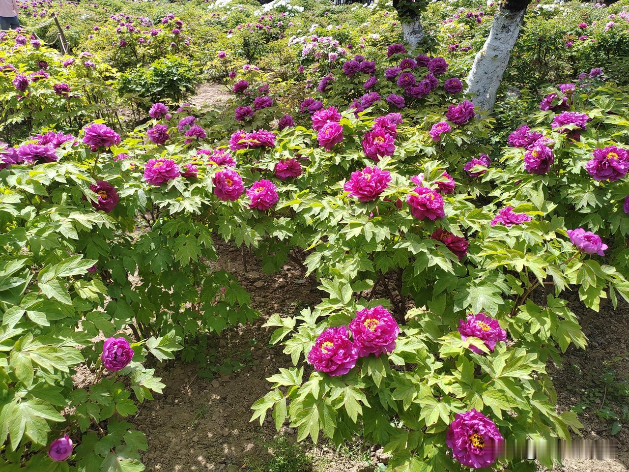 允许别人做别人，允许自己做自己。
1. 不跟人较劲 ——“允许别人做别人，允许自