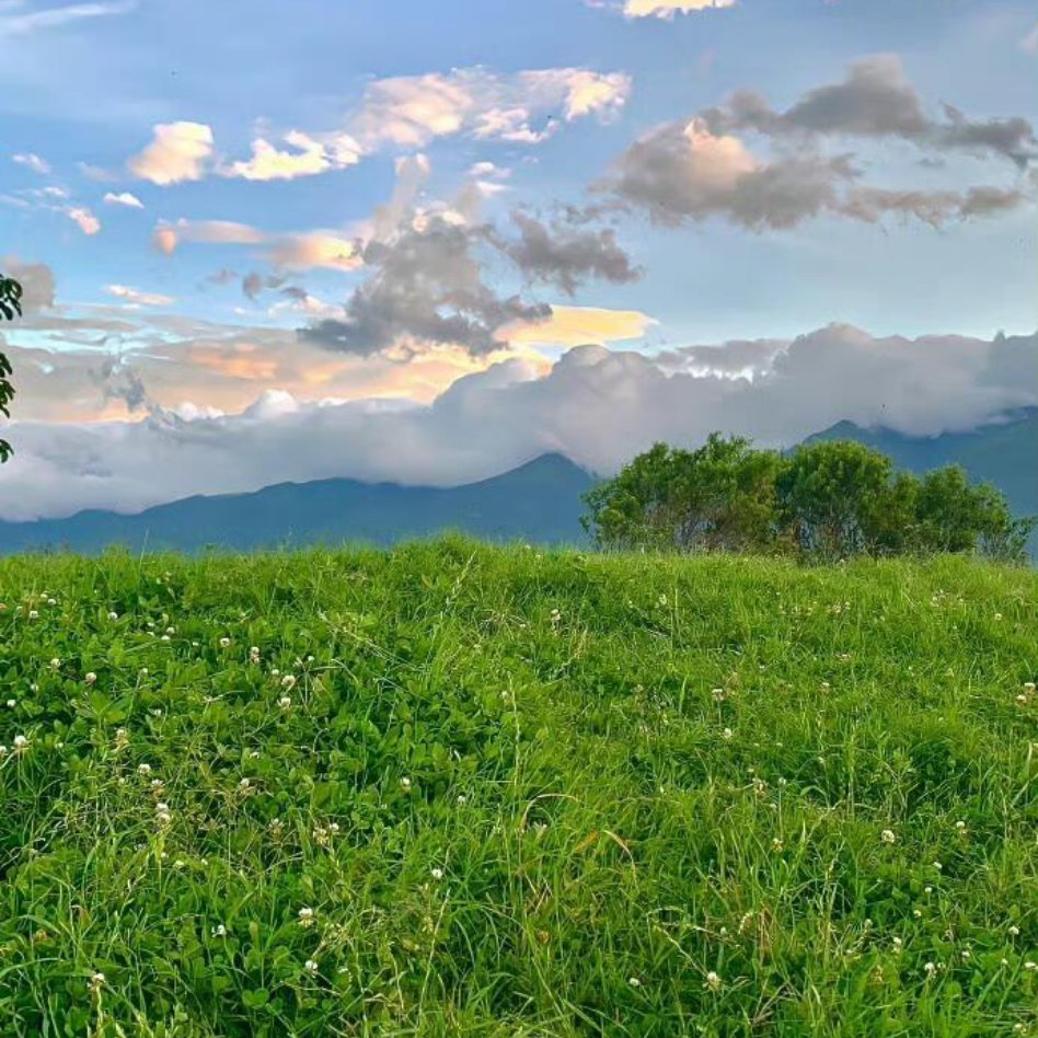 阳光信用 旅行是写给自己的情书，字里行间都是对世界的好奇，对生活的赤诚。 