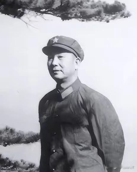 1971年老兵打油，一眼看见印章名字！军长连夜赶来，看见种地的“死了19年的烈士