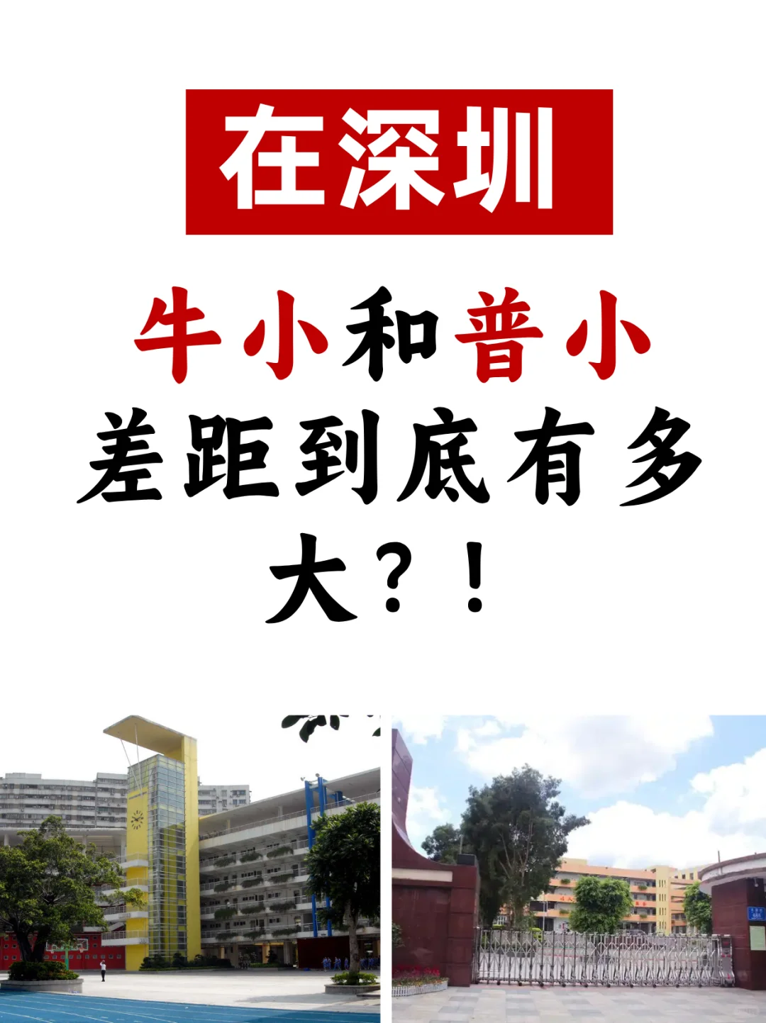 醒醒吧❗️谁说深圳小学都差不多来着？