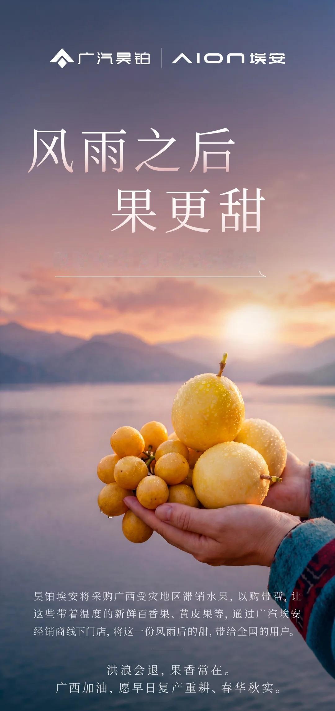 昊铂埃安国民助农行动 广西广西水灾广西加油 行动是第一救援力豫桂情谊 广汽昊铂埃