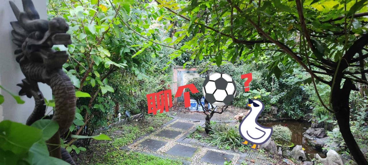 心要松，才有赢球的可能

U-22国足2：0赢下了韩国队(熊猫杯），拜合拉木踢得