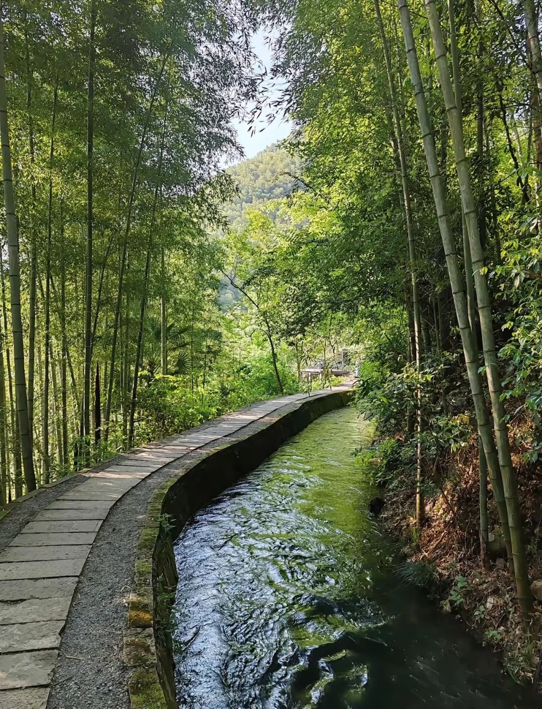 ADHD的人，很容易陷入一种“任务债务”（ task debt）。 一...