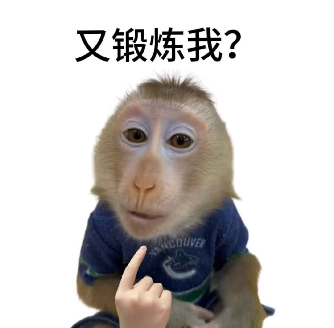 最尊重猴的剧组出现了看完年会2久久忘不掉办公室猴子戏份！剧情癫狂搞笑，更难得剧组