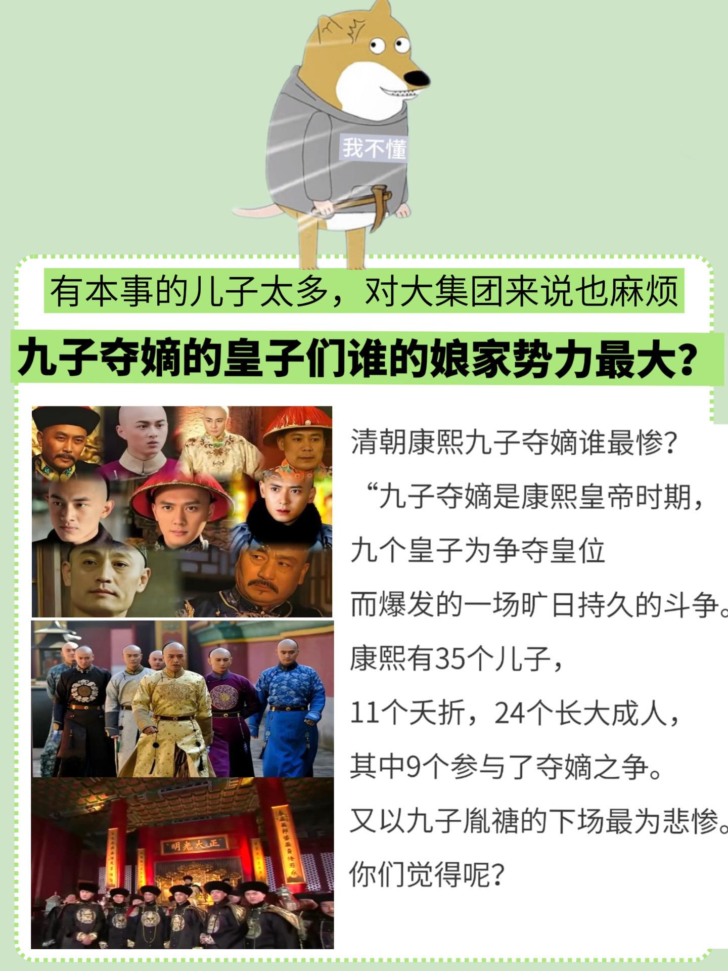 清朝康熙九子夺嫡谁最惨？你知道参与九子夺嫡的皇子们谁的娘家势力最大吗？历史故事