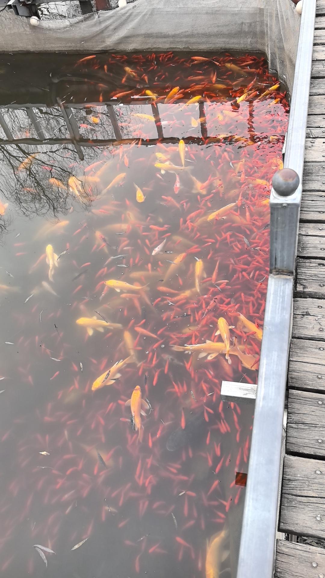 让你身价过亿的软件才卖5元
近日有媒体报料，市面有款软件可以更改自己微信余额，而