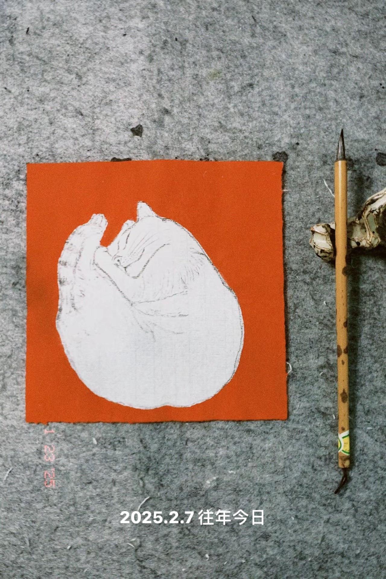 书画 画画 猫咪 治愈 艺术