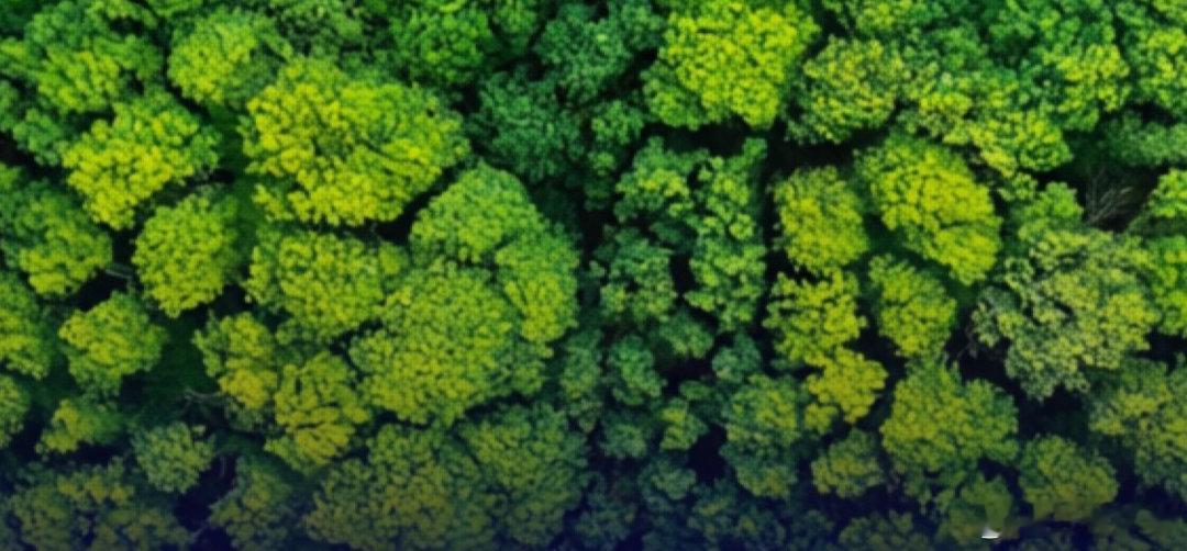 【东晓生物募资16.84亿冲刺北交所】近日，北京证券交易所正式受理东晓生物科技股