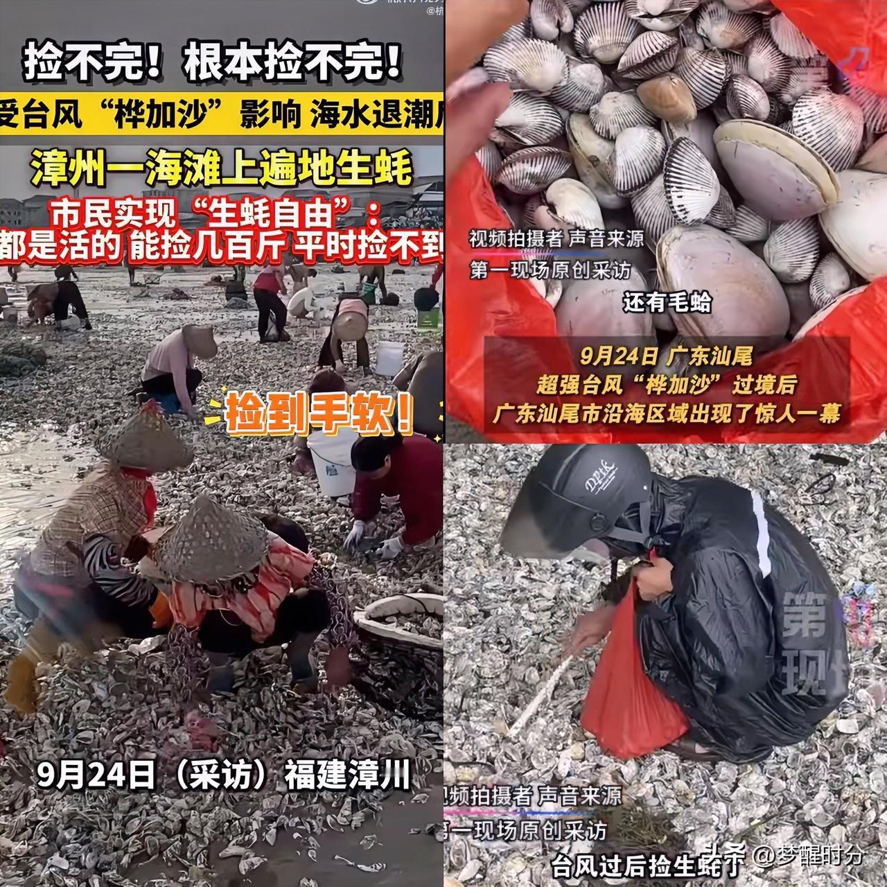 这下出名了

不止广东，现在全国人民都知道了

超强台风“桦加沙”过境后，广东汕