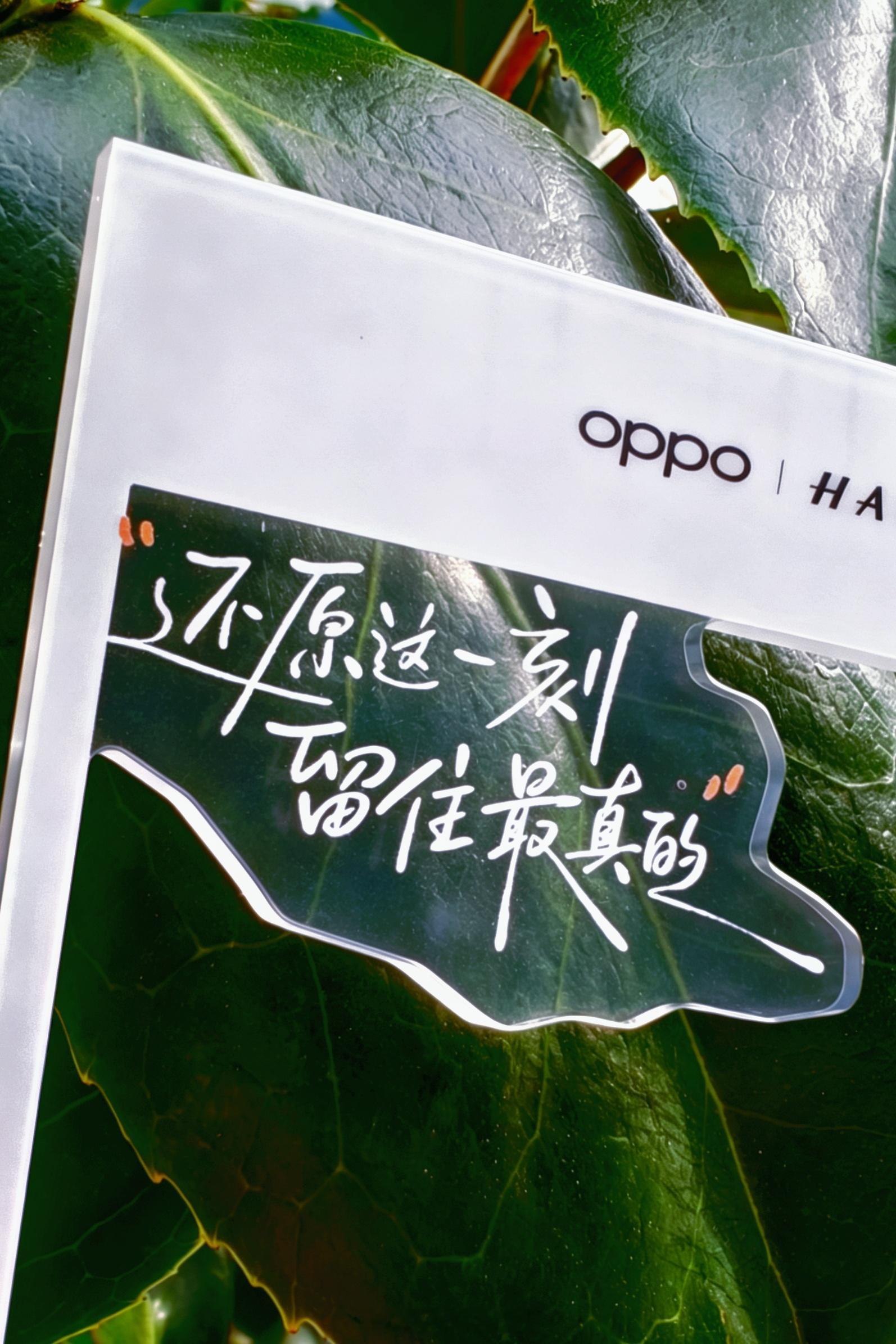 收到了OPPO Find X10系列发布会的邀请函9月22日19:00发布会主题