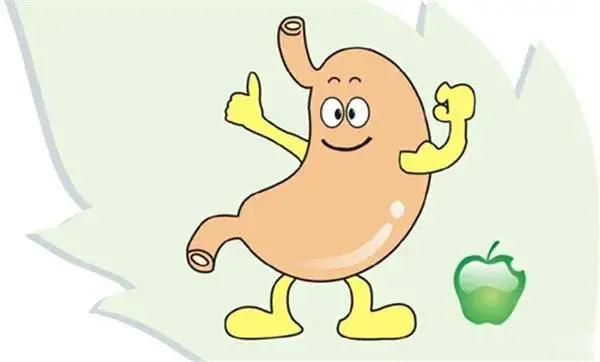 5个标准判断脾胃好坏，若中了2条以上，注意及时调理脾胃大家好，脾胃对于人体来说非