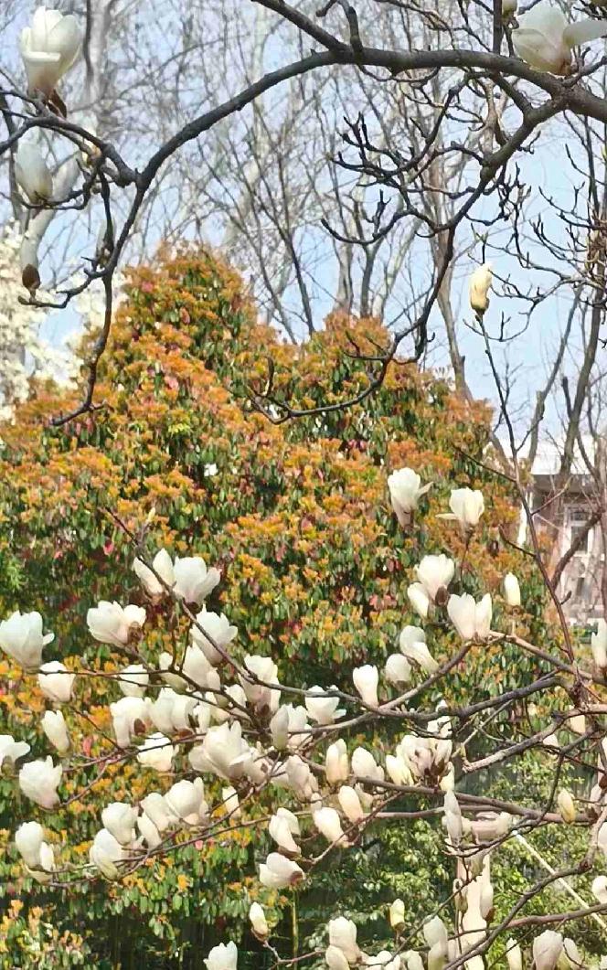 我的今日状态：😁轻松愉快
我这里的天气：☀️晴天