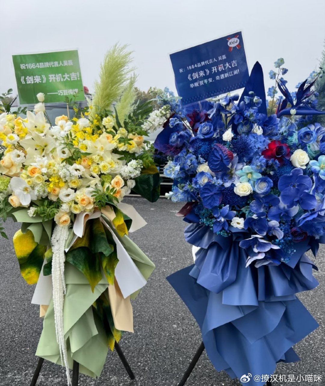 吴磊《剑来》开机，各大品牌霸霸送花，巴宝莉的最好看，创维最走心还送了苹果🍎。以