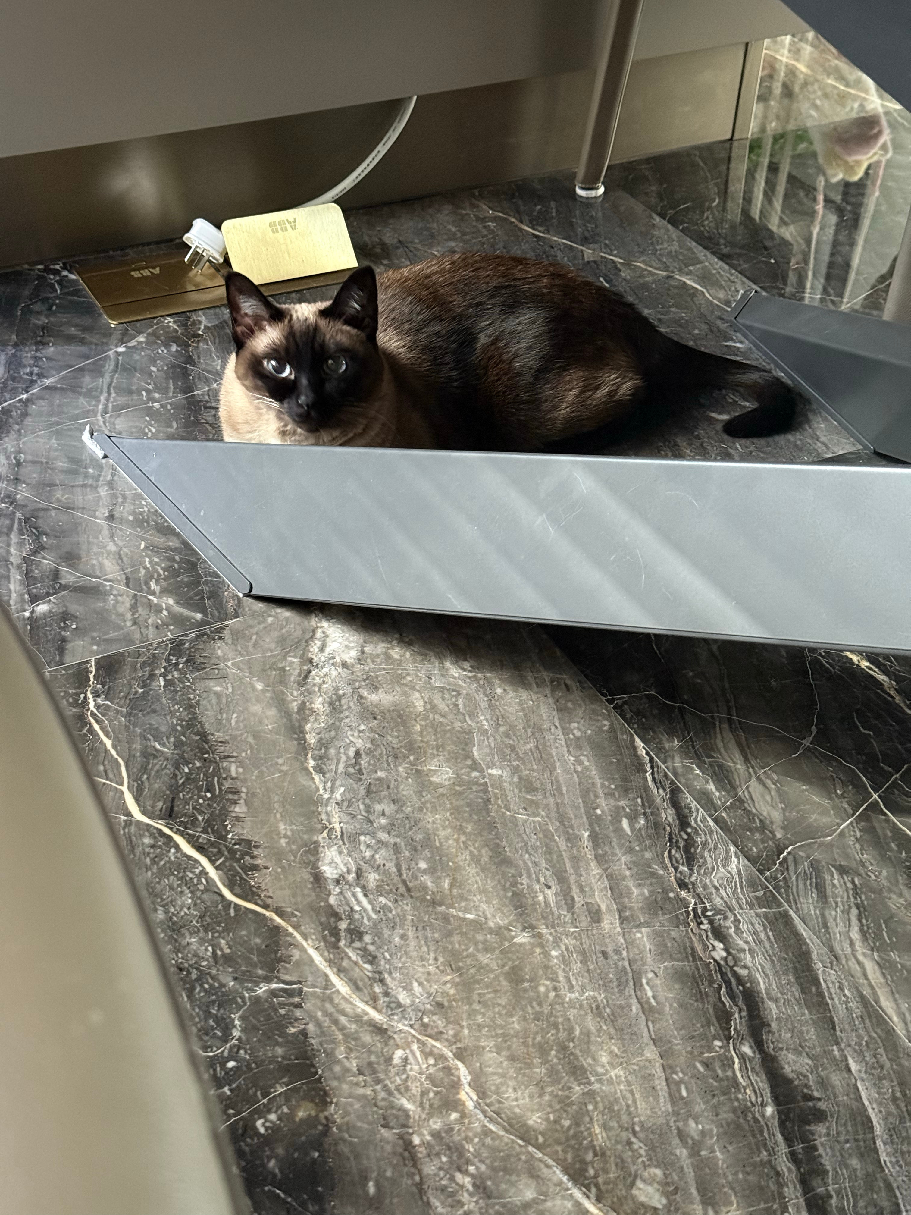 喜欢开地暖的日子！！感冒终于也好啦！！ 