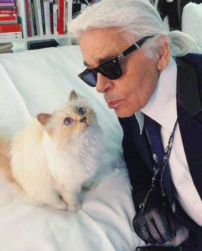 一只猫继承15亿遗产，可能吗，它怎么花呢？

有钱人做事就是这么清新脱俗，已故传