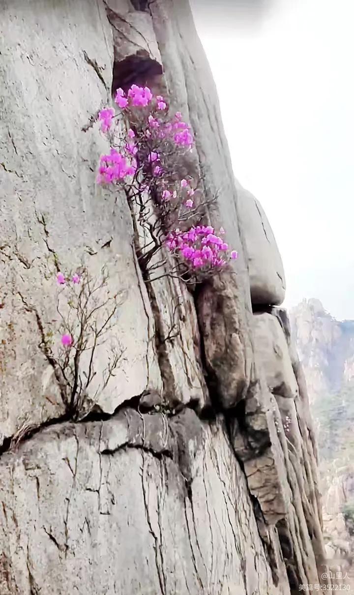 对联飞花令
出句：红是崖穷臀被打（雪浪）
