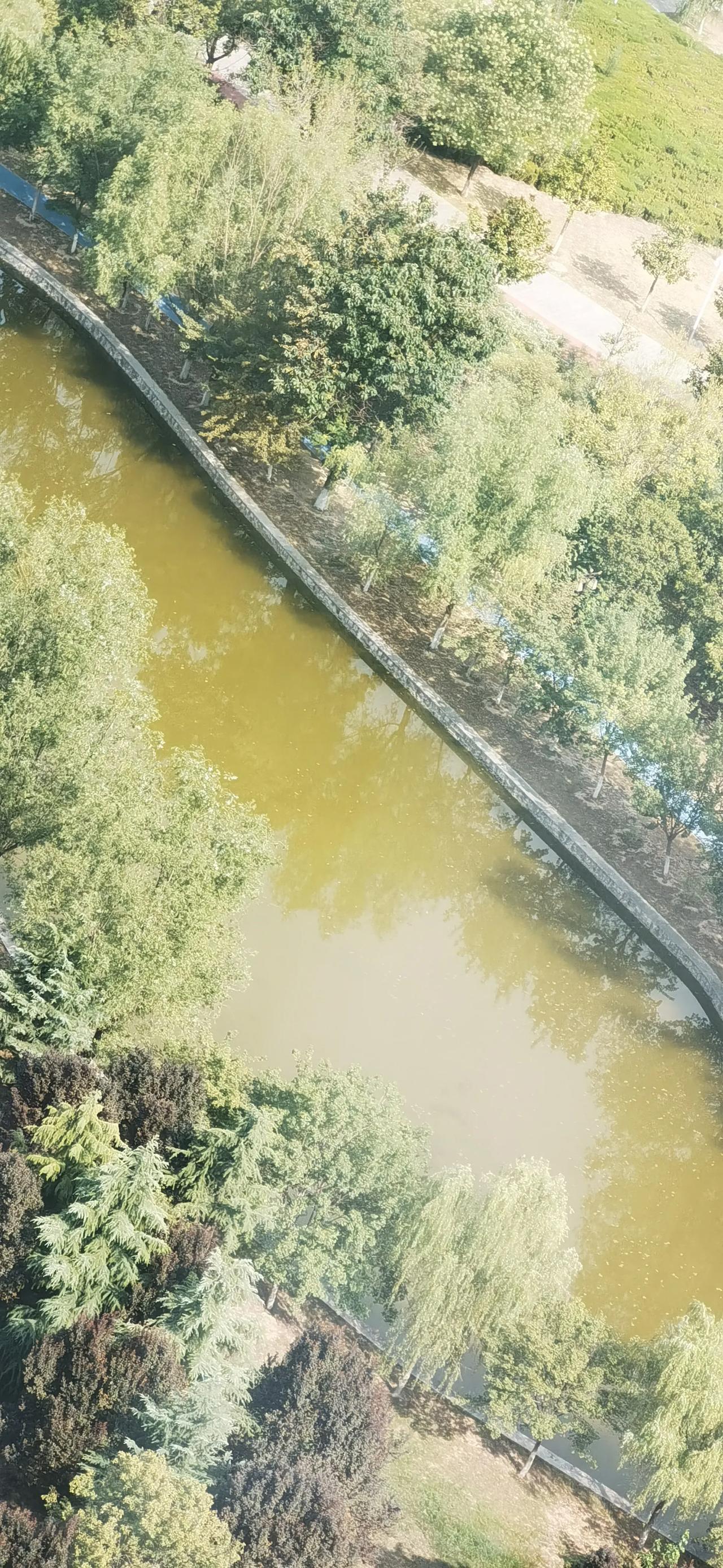 心情愉悦是大补，
情绪低落是大伤，
可是方子有，
药难抓，
凡是能让你快乐的，
