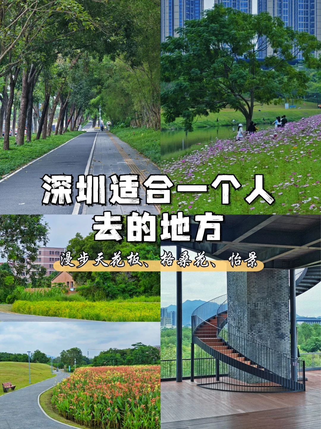 深圳适合一个人去的地方（45/100）