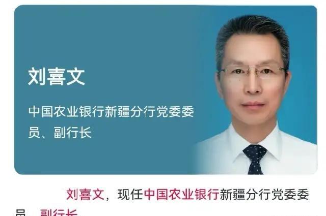 又一条大鱼，还是金融圈的！
倒回去看这个人的履历，其实挺让人唏嘘的。刘喜文在农行