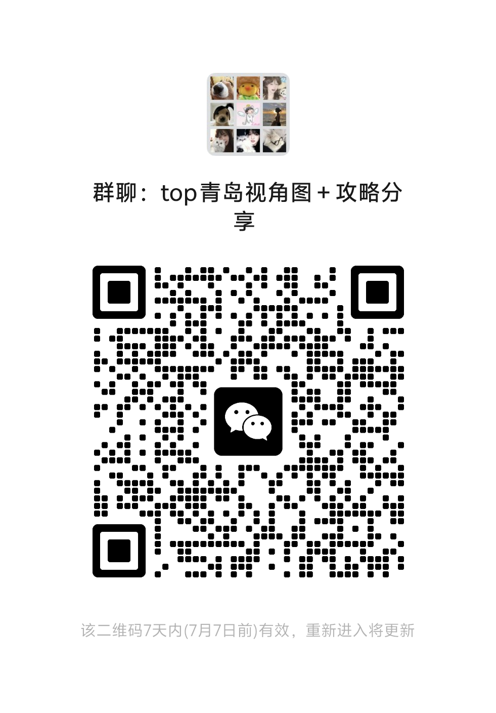 铲丝可以进来看视角 