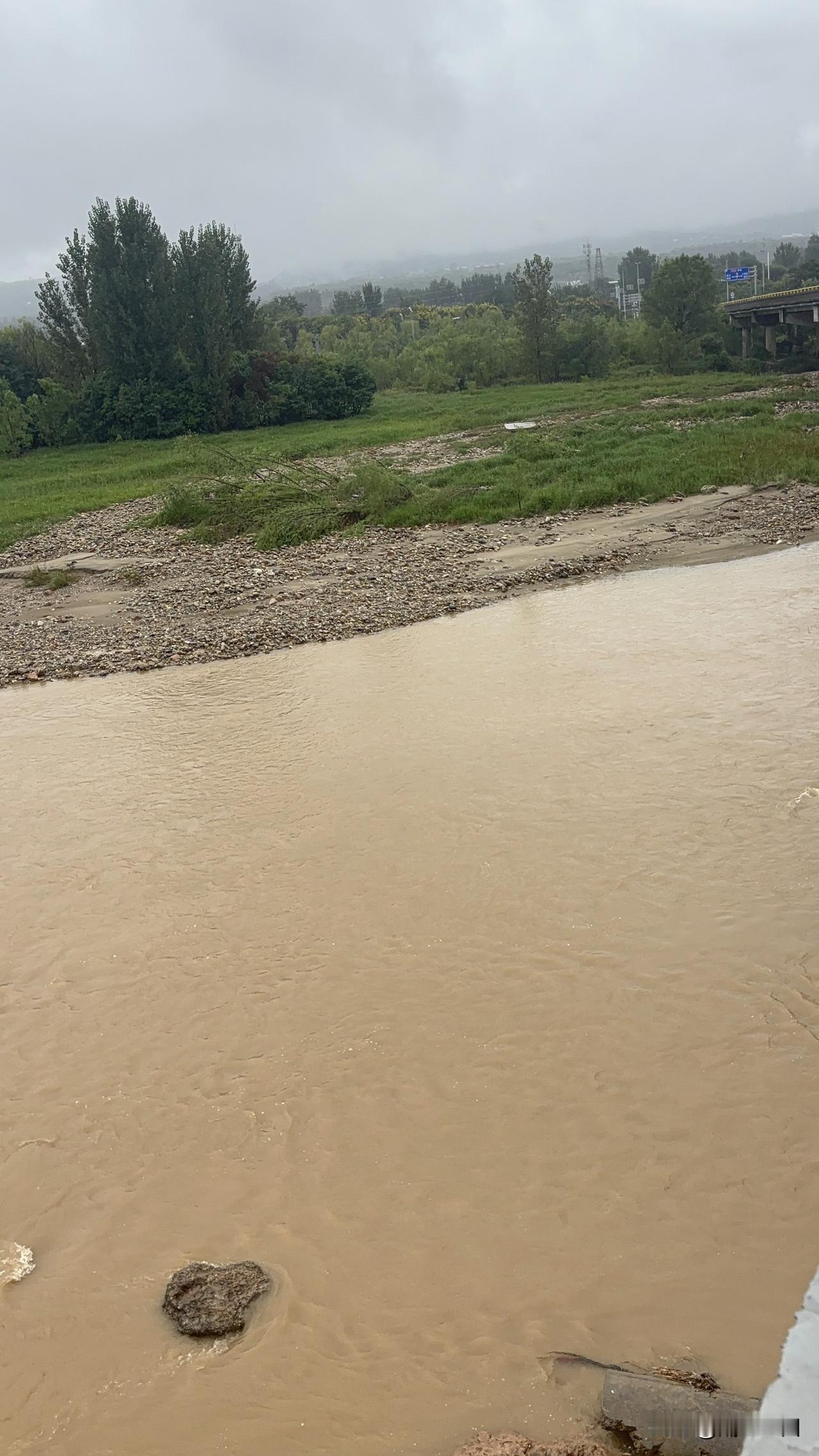 蓝田灞河张河湾段随拍，看到河道里的水量怎么样，昨天今天都下雨了，河水涨了一点，上