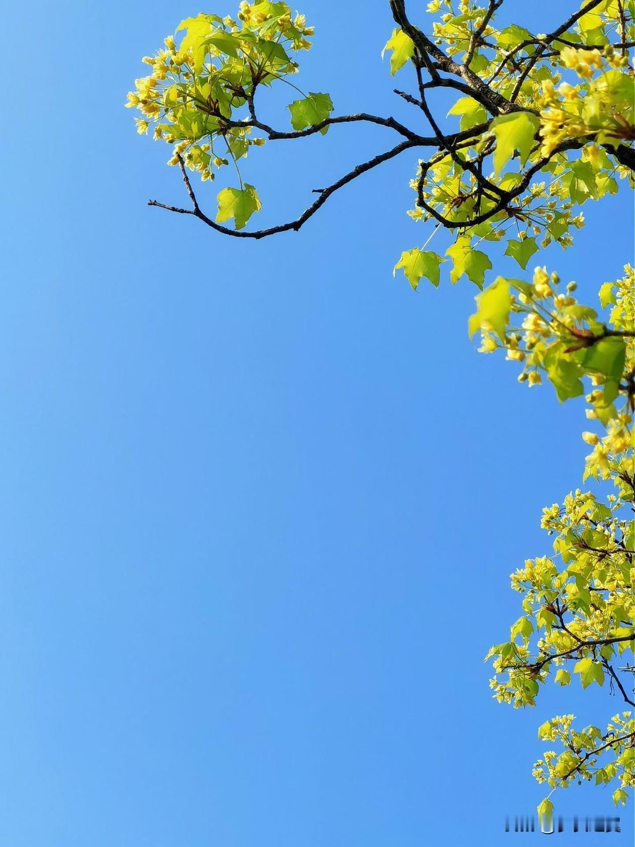 水到尽头是瀑布,人到尽头是什么? 
【小对联】
上：清清淡淡；
下：……？