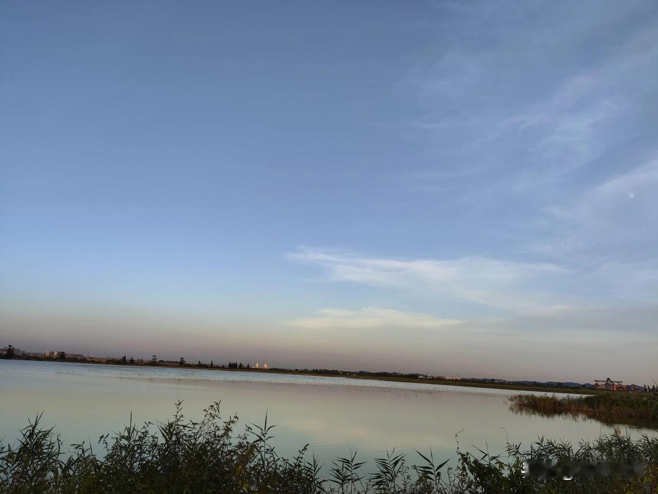 停在对面的卡车里坐了一车二师兄，
或站或卧，
安静的让人怀疑它们是否转了性子。