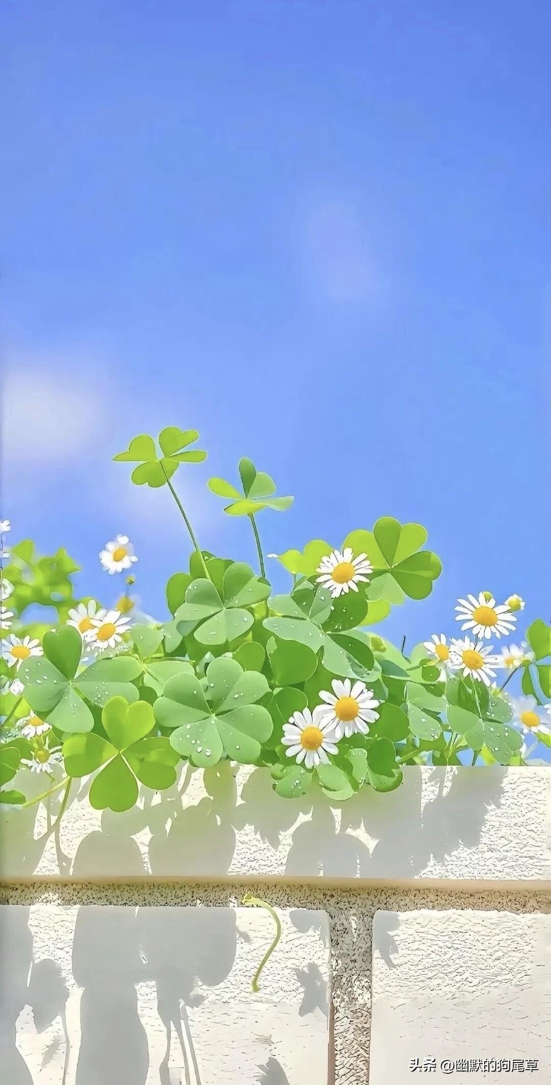 人这一辈子，最怕两个极端——

一个是啥都无所谓了，心凉透了；
另一个是觉得啥都