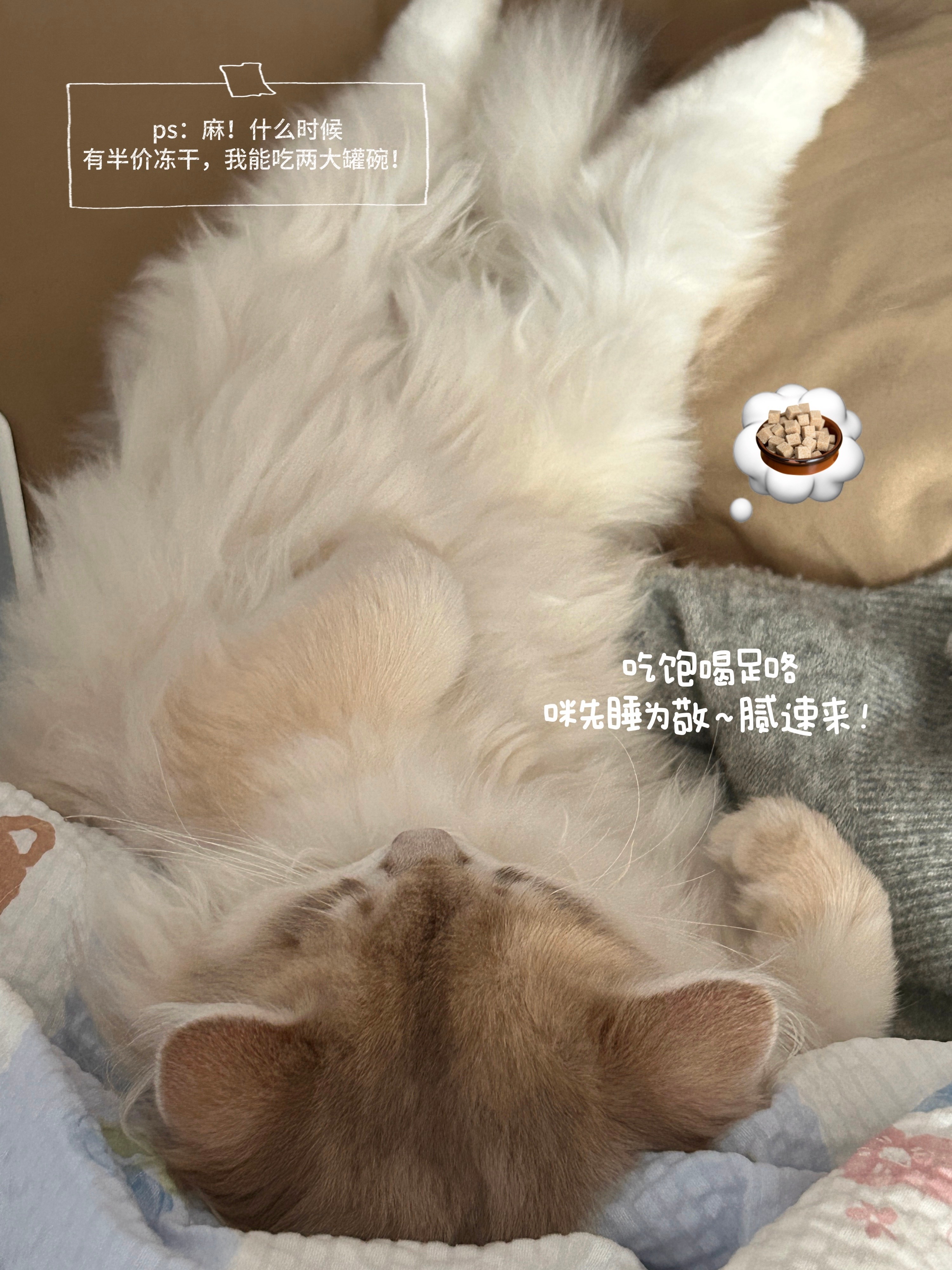 打工人的周末搭子是漂亮饭 打工人的周末仪式感，从一顿漂亮饭开始！精致菜品+好友闲