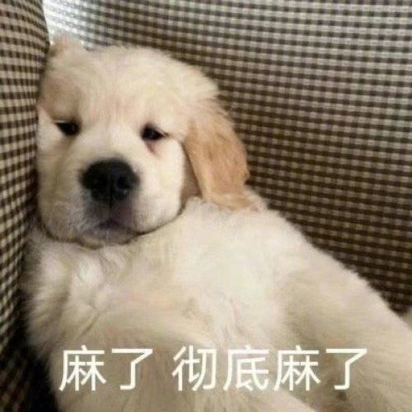 这么多年你们没发现一个规律吗每次陈哲远一杀青就会接下来无数的瓜[无聊]陈哲远又帅