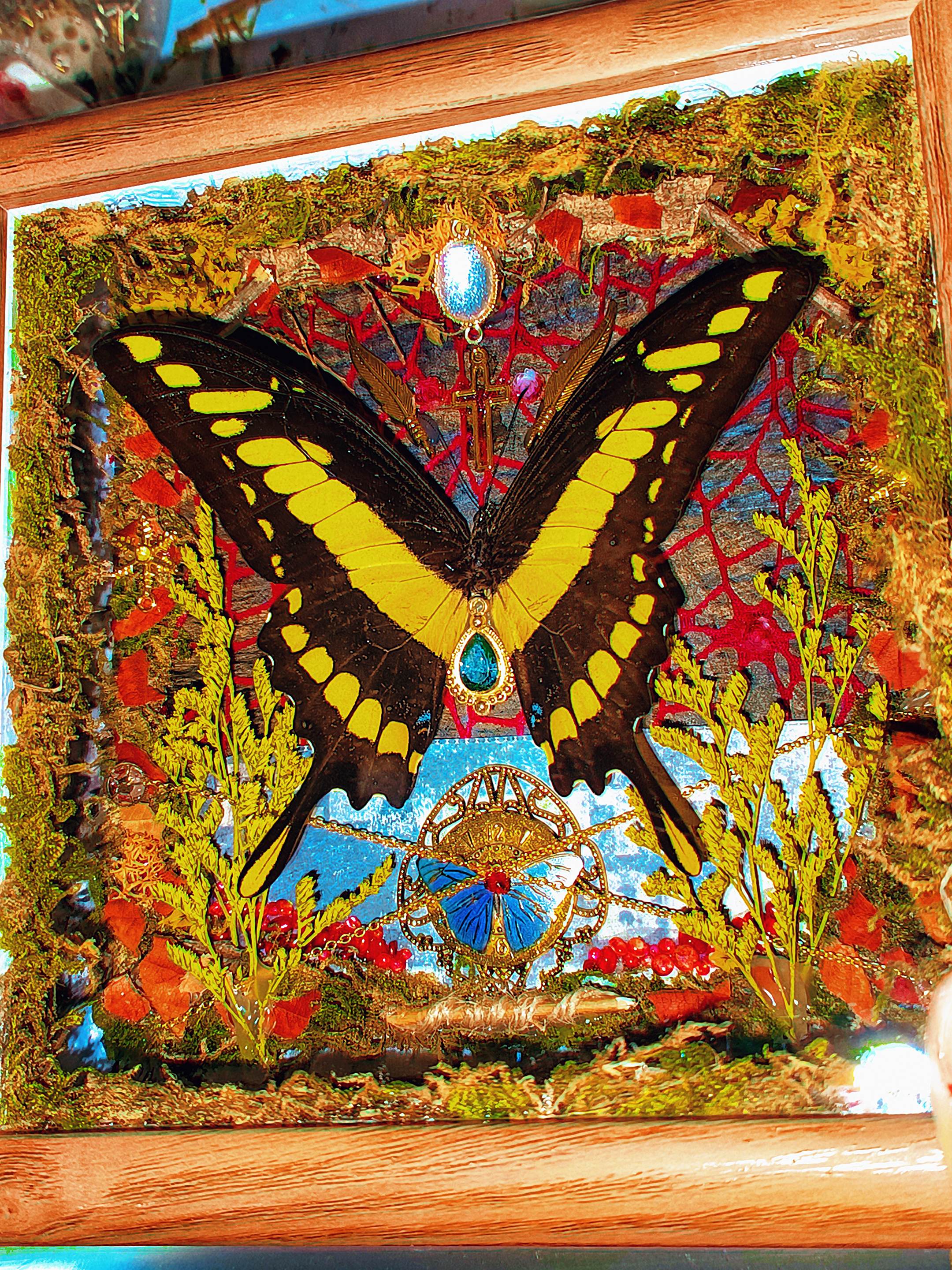 往期作品的标本合集回顾。除了COS我还自学了一些原创标本设计