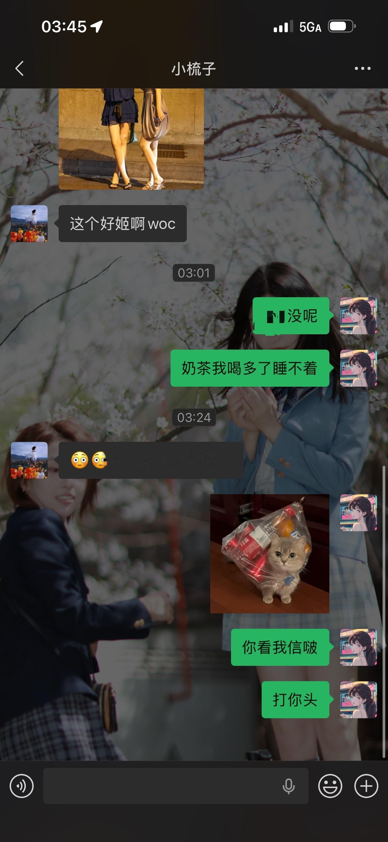 失眠了下午在梳子家梳子说一起点奶茶！还说那个茶🍵很淡的！基本上都是奶我：嘎嘎嘎