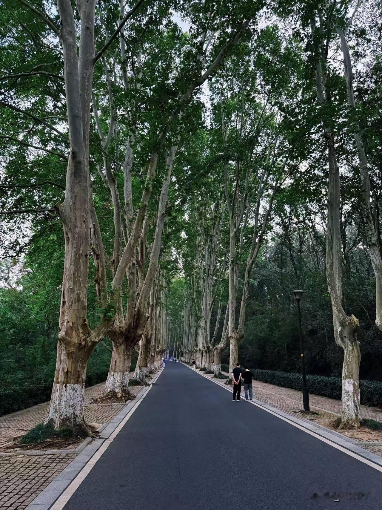 地阔载山河