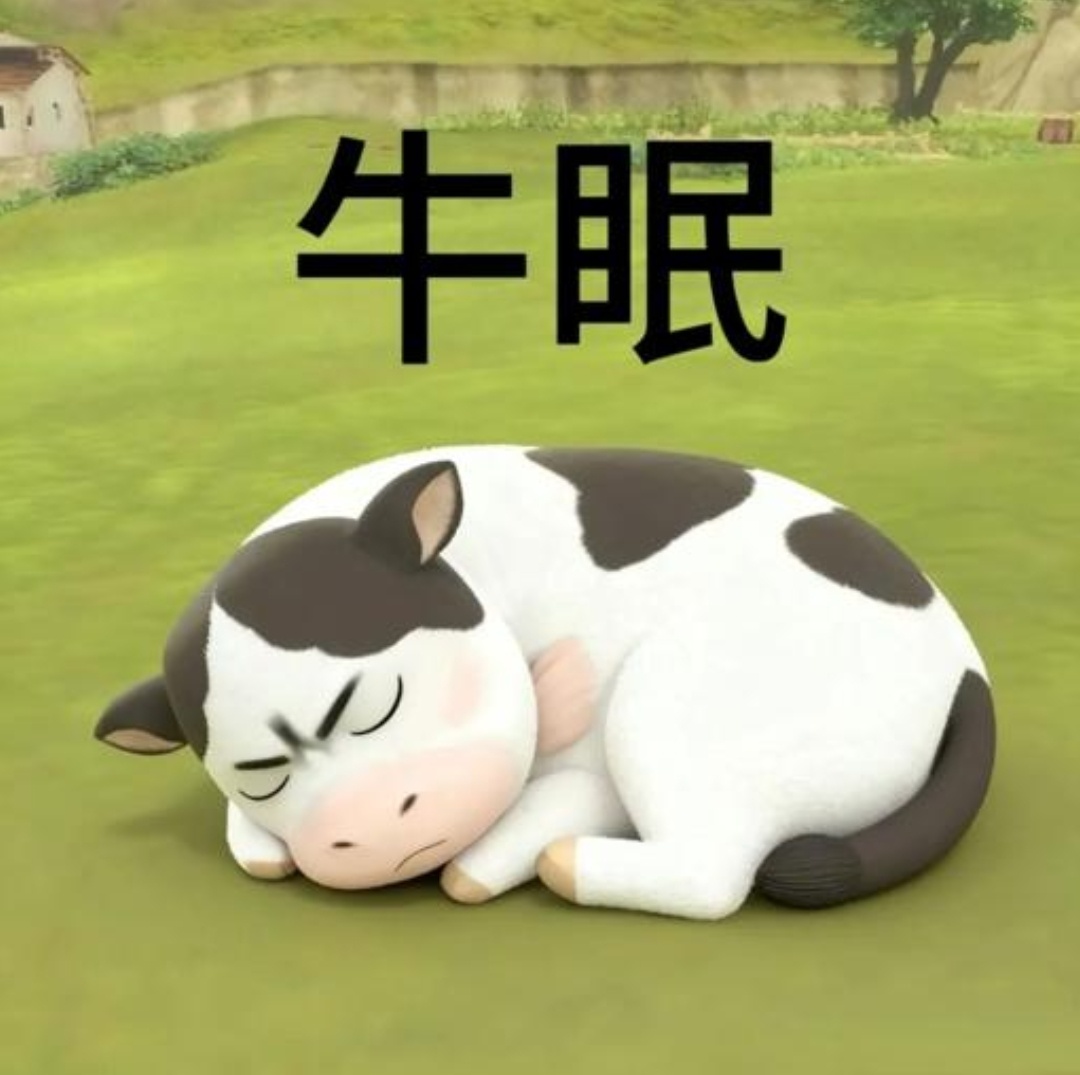 睡觉睡觉 