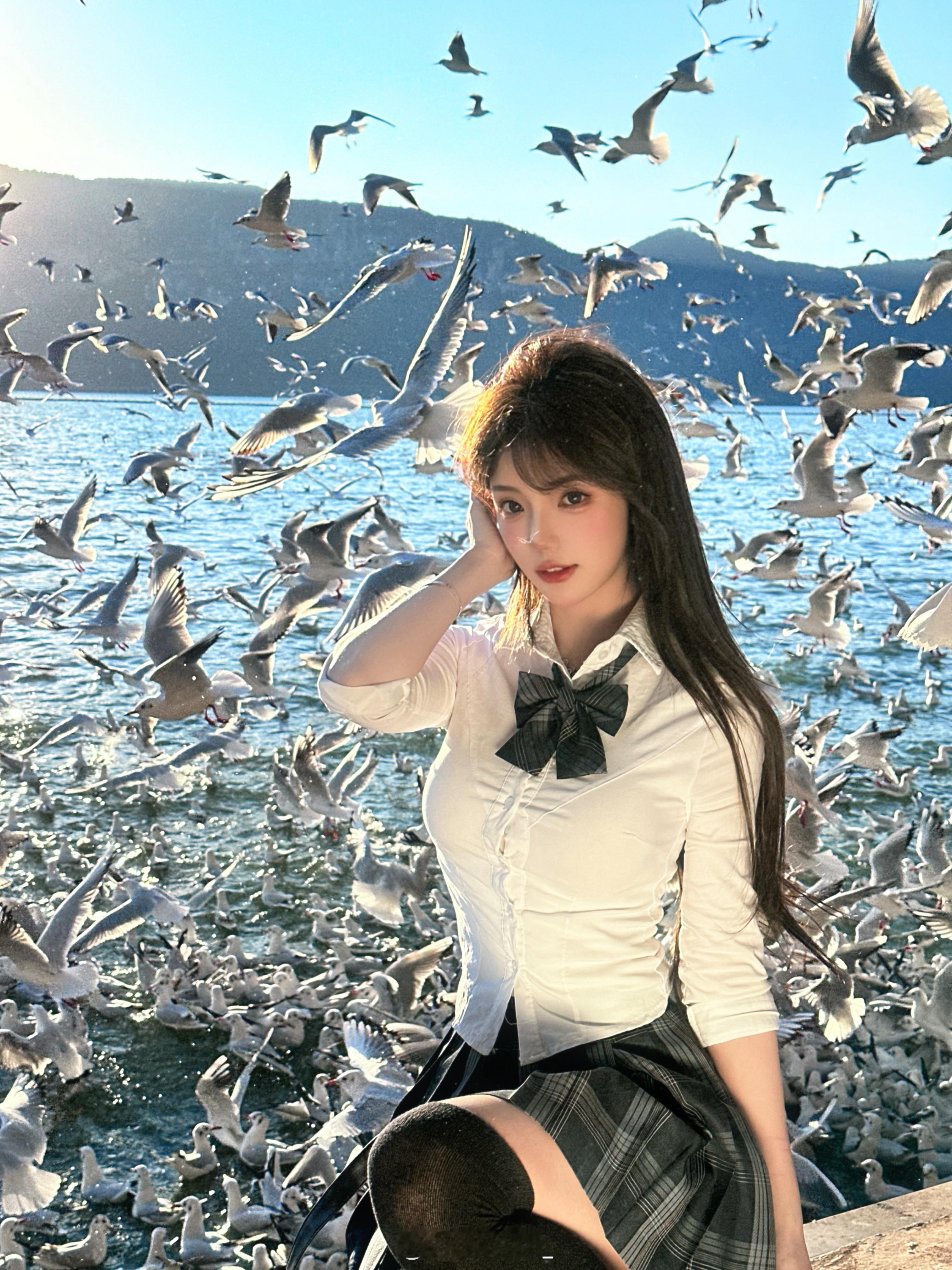 海鸥不会失约 