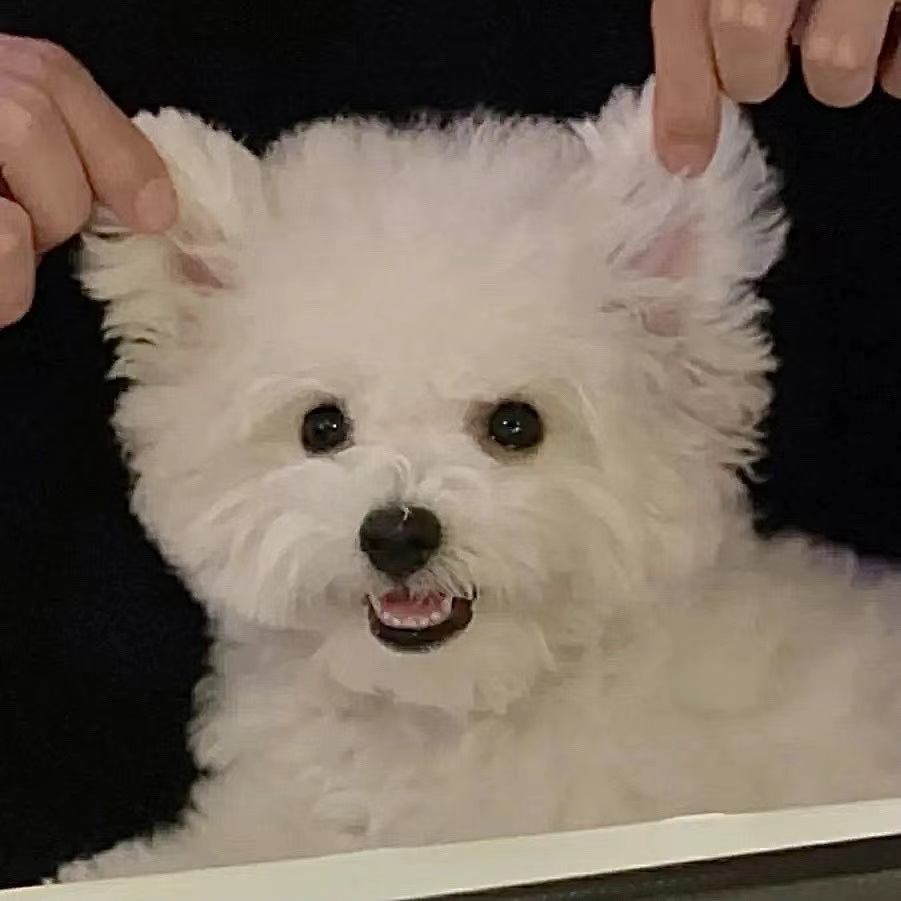 坏习惯对人的影响，跟业力对人的影响一模一样。越是知道不好，越是容易被这人事物吸引