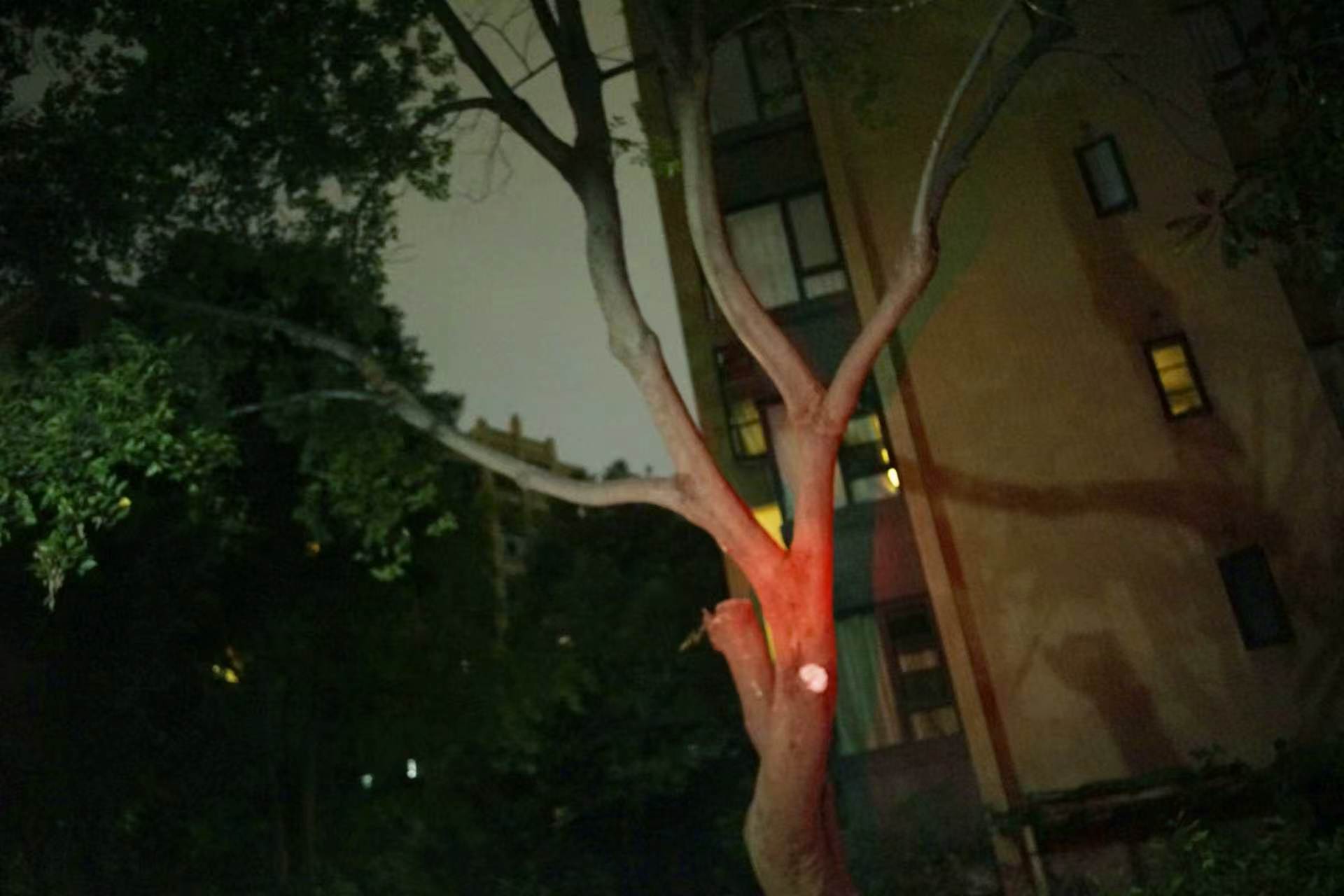 2023/8图片编辑
