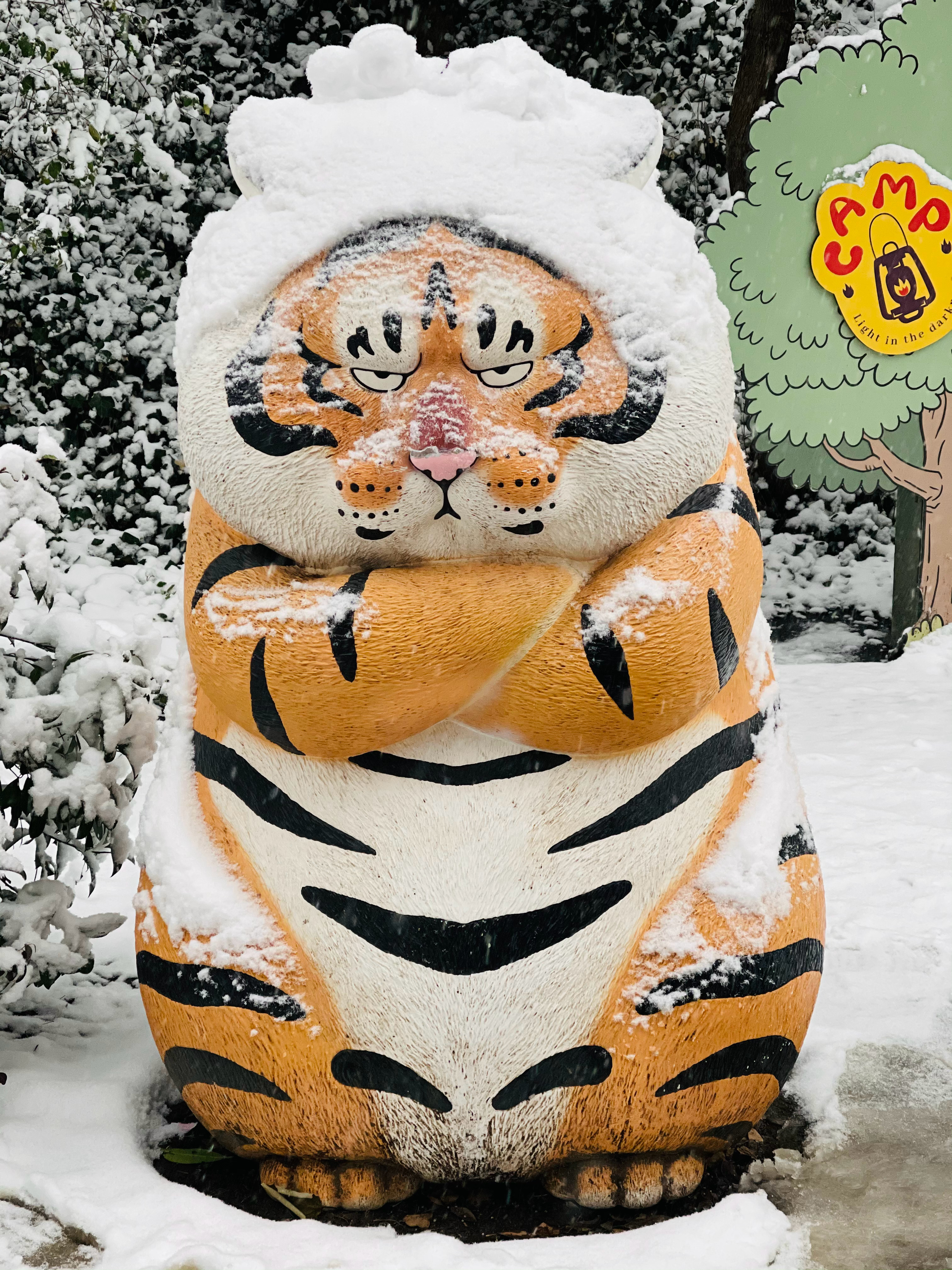 胖虎戴上了雪头盔。 ​​​