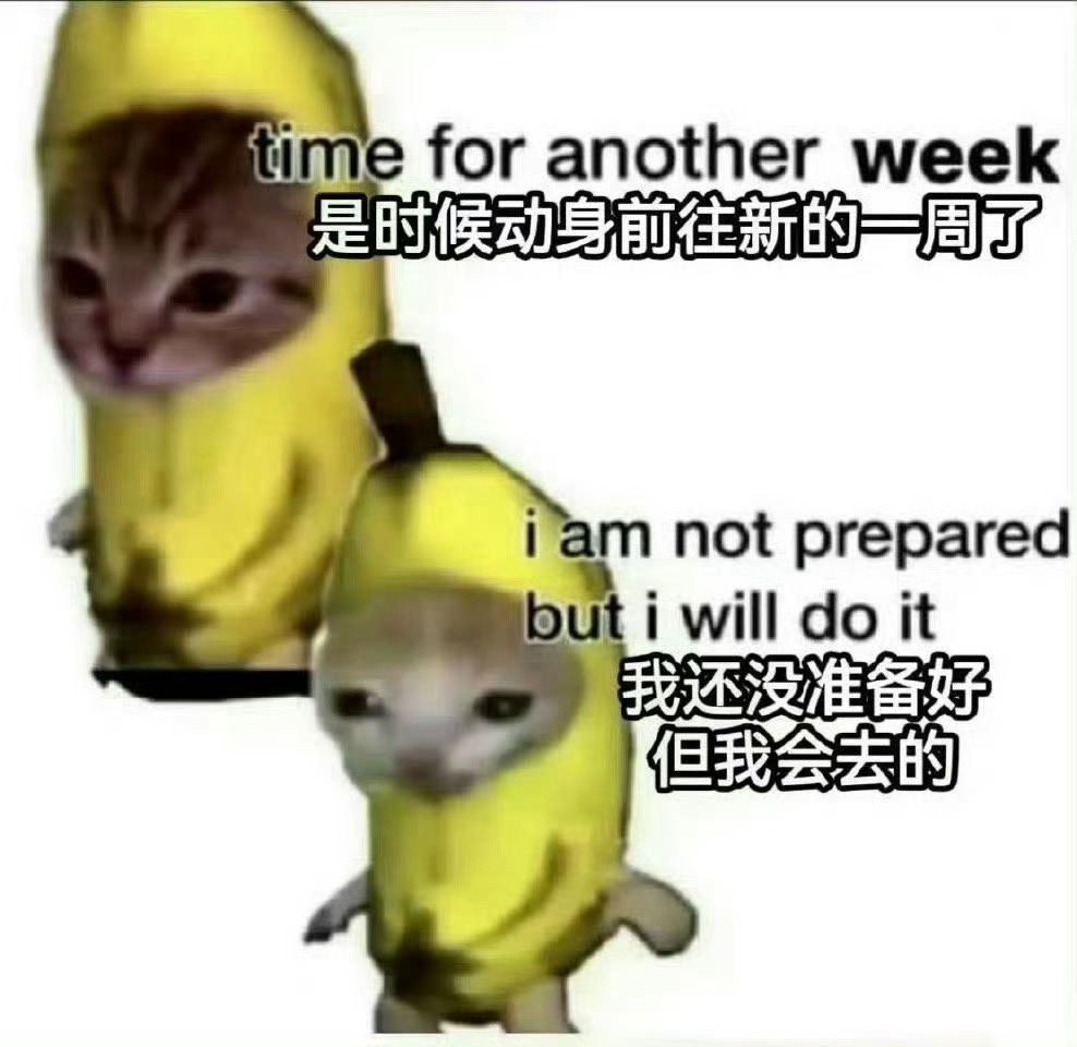 循环再次开始了 