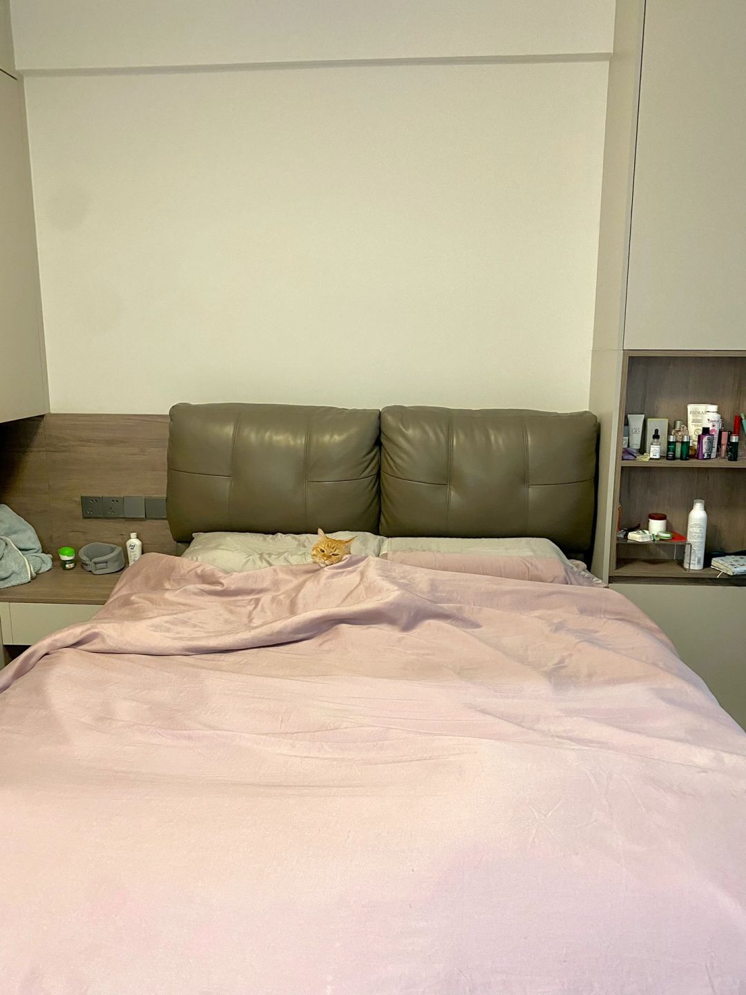 原则上，我是不给小猫上床🛏️